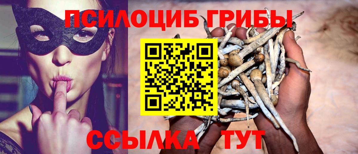 Псилоцибиновые грибы ЛСД Калининград
