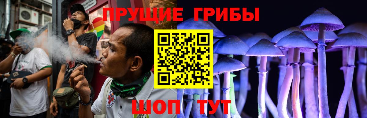 Псилоцибиновые грибы Psilocybine cubensis  Галлюциногенные грибы ЛСД  Калининград  Вход с VPN 